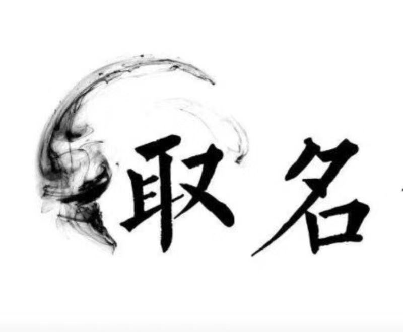  琼中宝宝取名 大师一对一人工起名